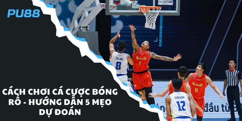 Cách chơi cá cược bóng rổ