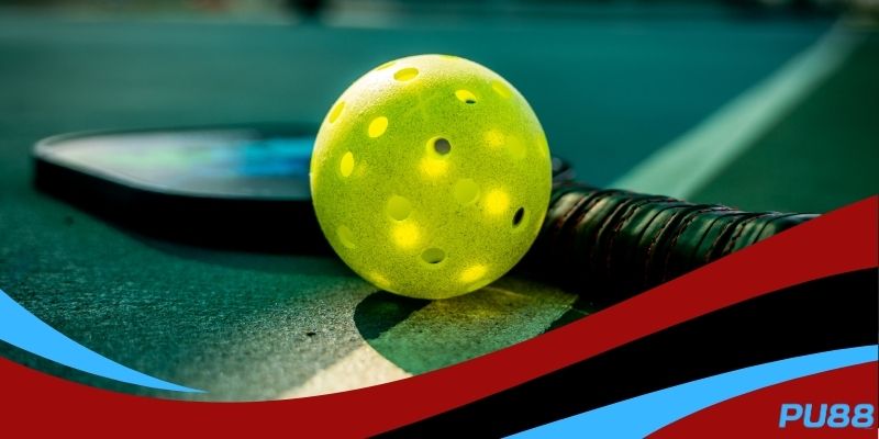 Cách chọn vợt Pickleball hiệu quả như dân chuyên