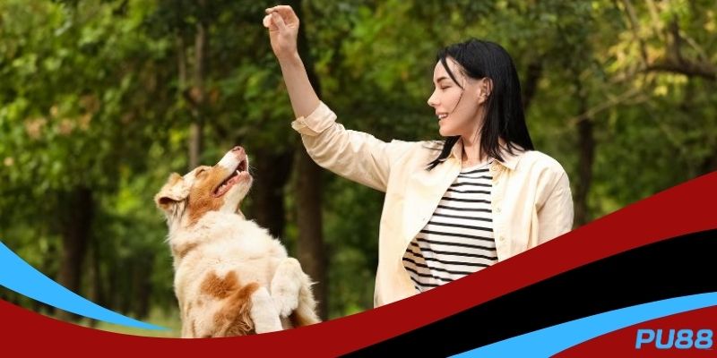 Giải mã các trường hợp chiêm bao về cún