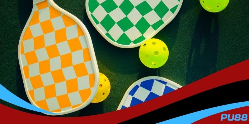 Giới thiệu nhanh về môn thể thao Pickleball